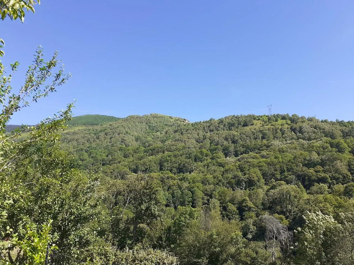 Gite Pause Du Berger Saint-Pastous France