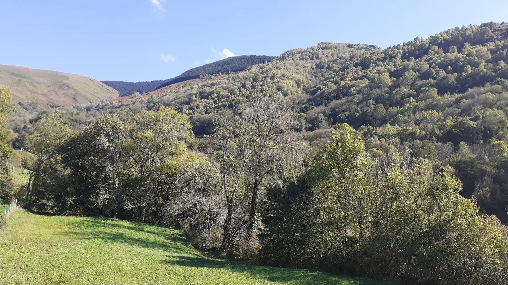 Gite Pause Du Berger Saint-Pastous